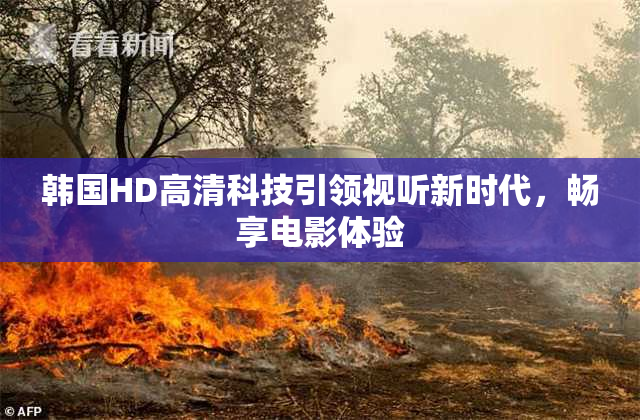 韩国HD高清科技引领视听新时代，畅享电影体验