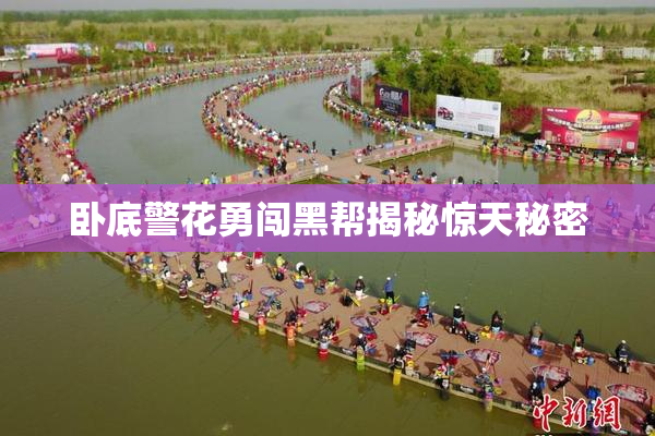 卧底警花勇闯黑帮揭秘惊天秘密