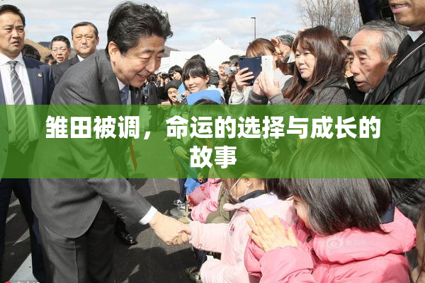 雏田被调，命运的选择与成长的故事