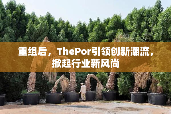 重组后，ThePor引领创新潮流，掀起行业新风尚