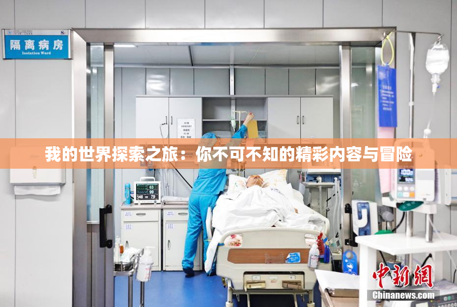 我的世界探索之旅：你不可不知的精彩内容与冒险