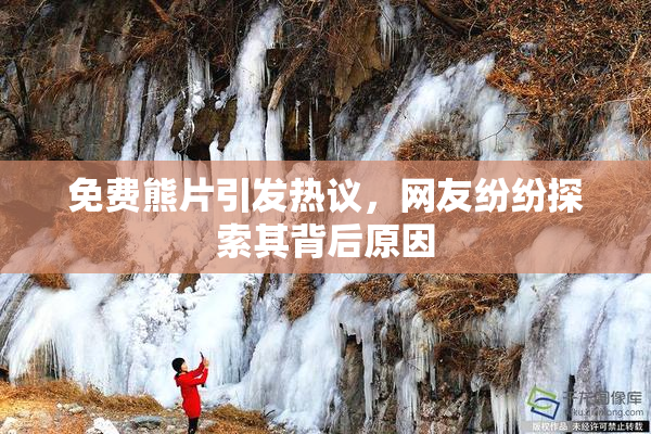 免费熊片引发热议，网友纷纷探索其背后原因