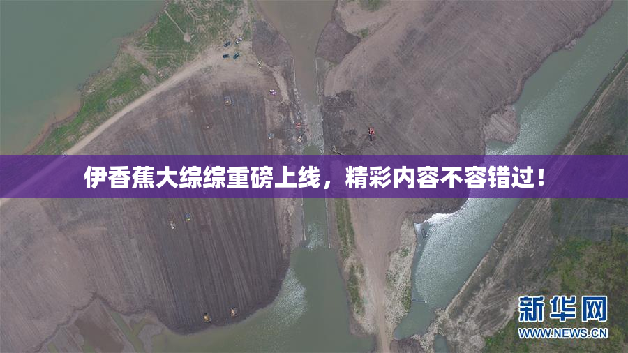伊香蕉大综综重磅上线，精彩内容不容错过！