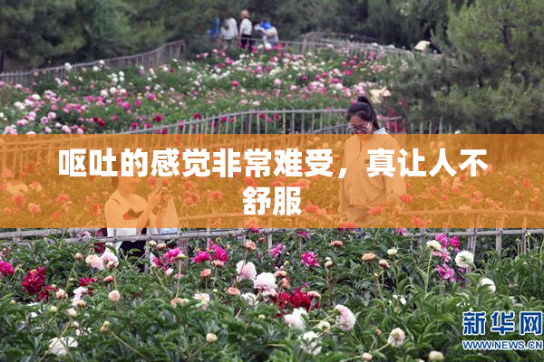 呕吐的感觉非常难受，真让人不舒服