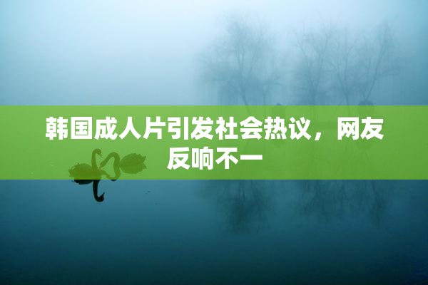 韩国成人片引发社会热议，网友反响不一