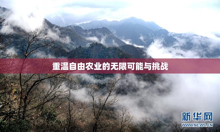 重温自由农业的无限可能与挑战