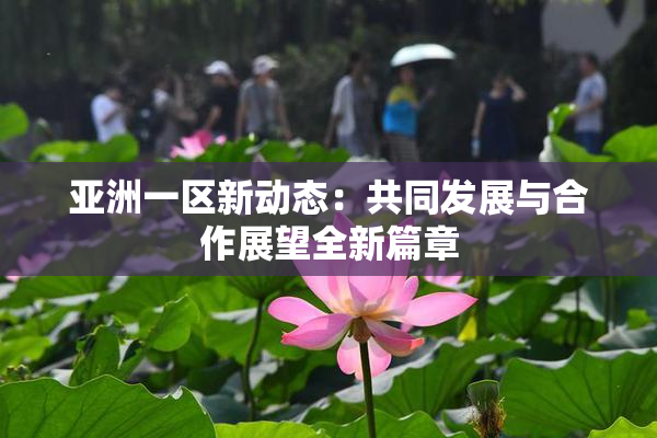 亚洲一区新动态：共同发展与合作展望全新篇章