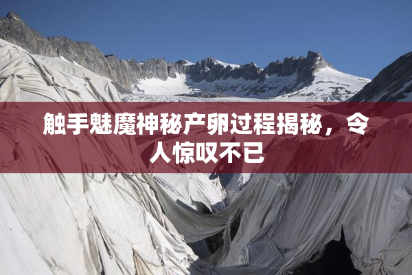 触手魅魔神秘产卵过程揭秘，令人惊叹不已