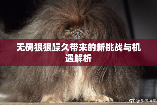 无码狠狠躁久带来的新挑战与机遇解析