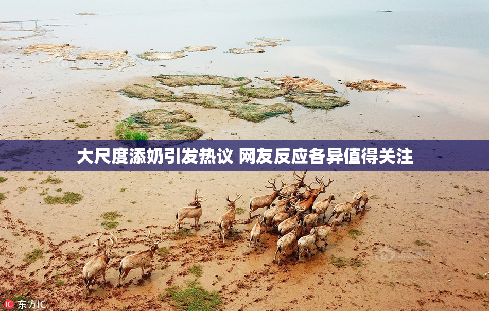 大尺度添奶引发热议 网友反应各异值得关注