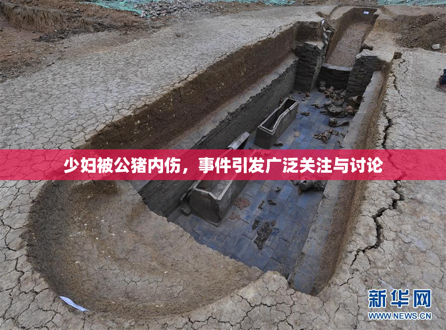 少妇被公猪内伤，事件引发广泛关注与讨论