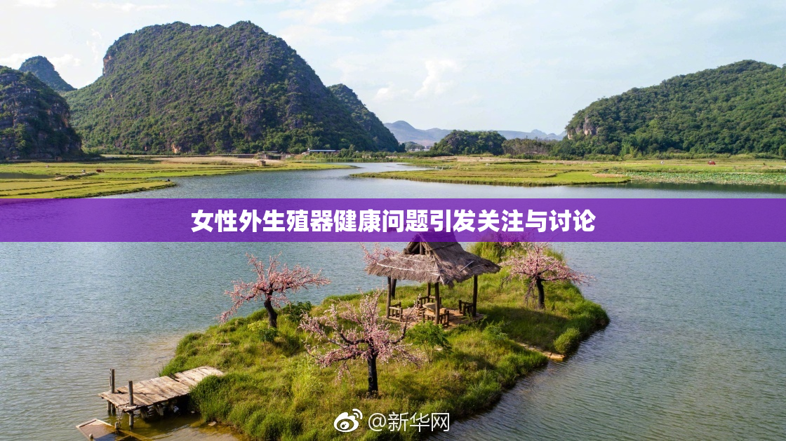 女性外生殖器健康问题引发关注与讨论