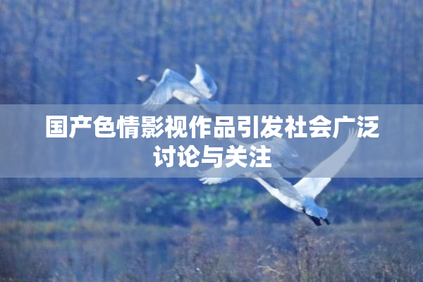 国产色情影视作品引发社会广泛讨论与关注