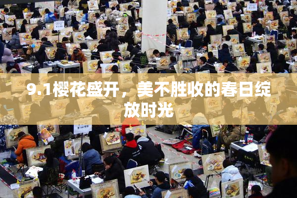 9.1樱花盛开，美不胜收的春日绽放时光