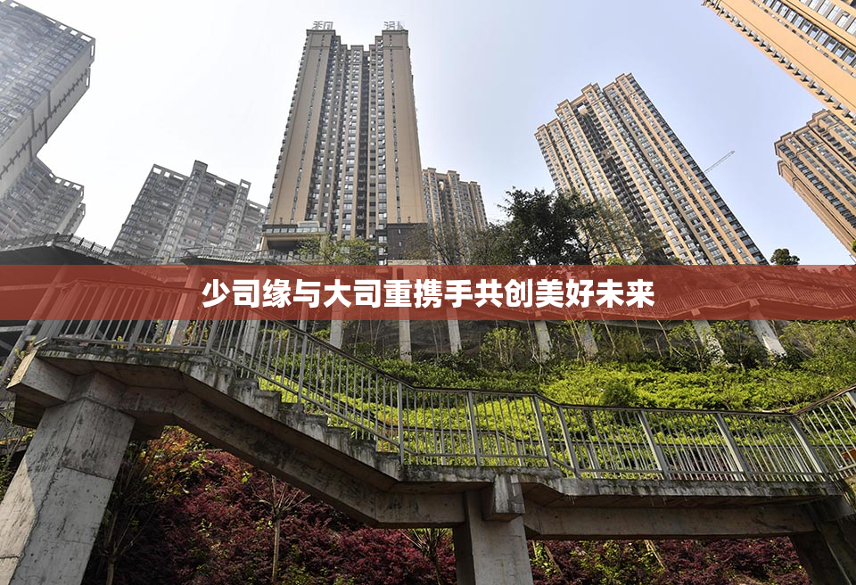 少司缘与大司重携手共创美好未来