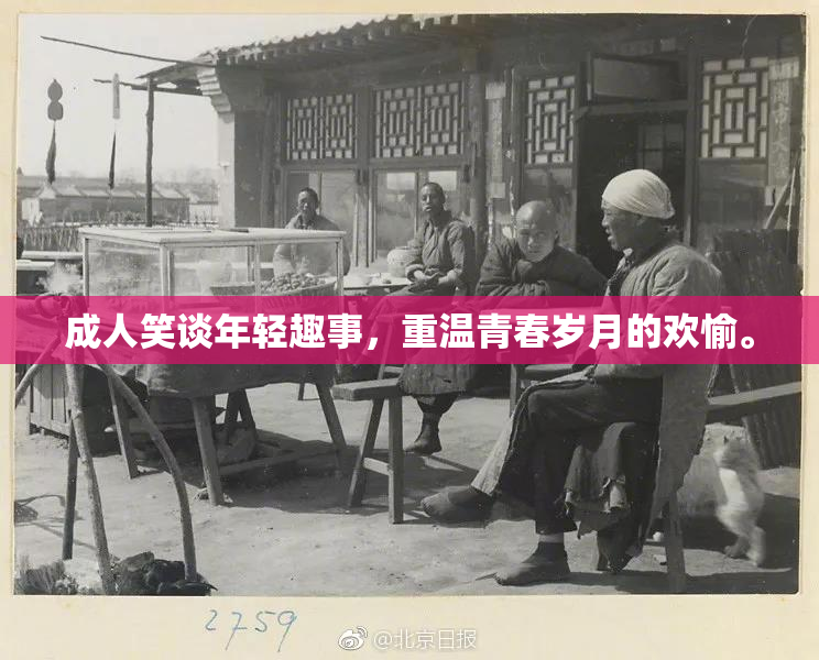 成人笑谈年轻趣事，重温青春岁月的欢愉。