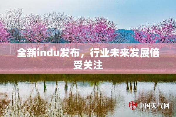 全新indu发布，行业未来发展倍受关注