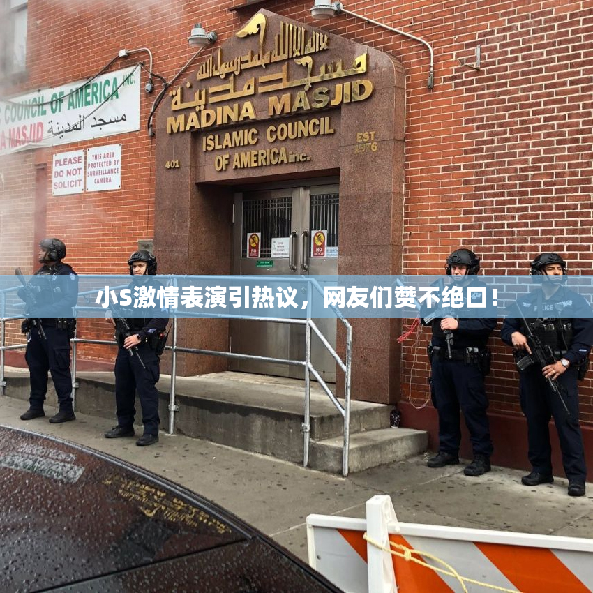 小S激情表演引热议，网友们赞不绝口！