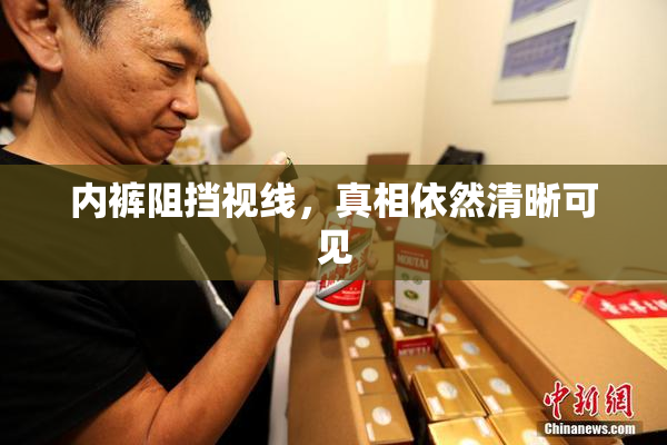 内裤阻挡视线，真相依然清晰可见