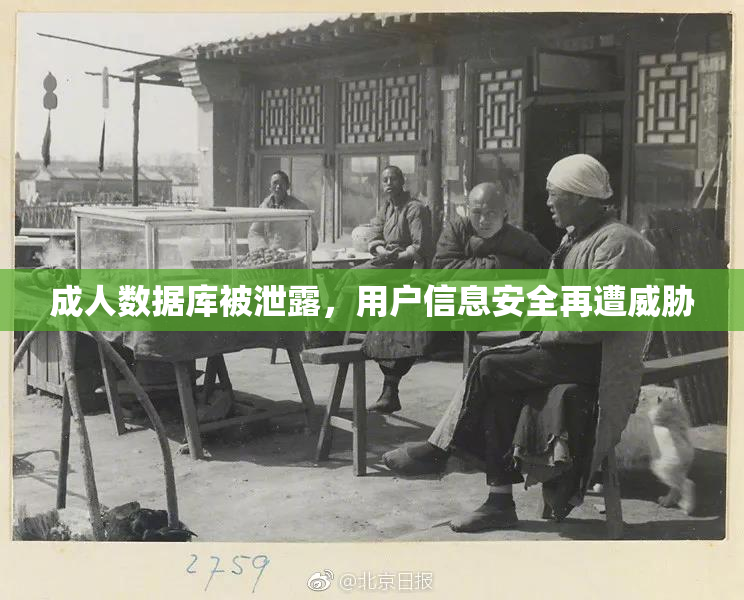 成人数据库被泄露，用户信息安全再遭威胁