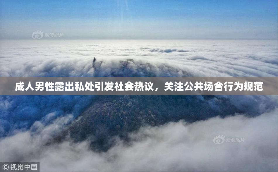 成人男性露出私处引发社会热议，关注公共场合行为规范