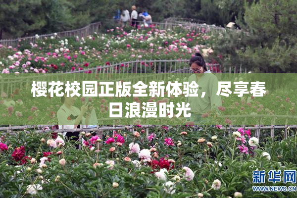 樱花校园正版全新体验，尽享春日浪漫时光