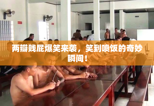 两瓣贱屁爆笑来袭，笑到喷饭的奇妙瞬间！