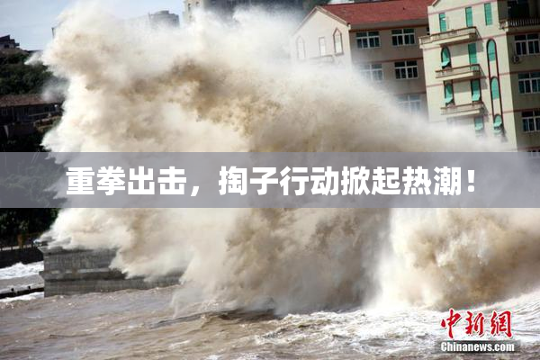 重拳出击，掏子行动掀起热潮！