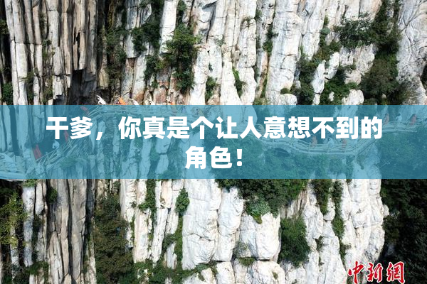 干爹，你真是个让人意想不到的角色！