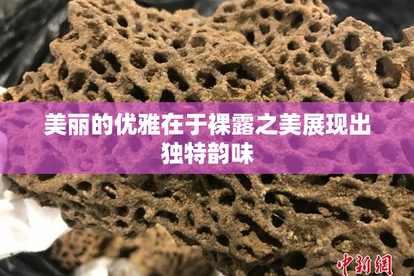 美丽的优雅在于裸露之美展现出独特韵味