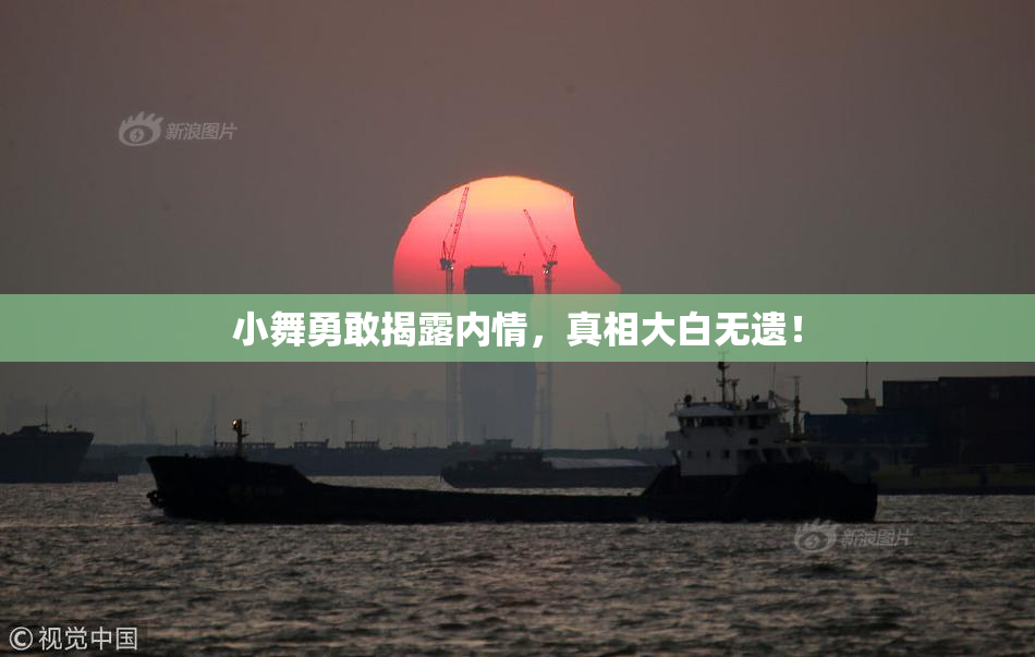 小舞勇敢揭露内情，真相大白无遗！