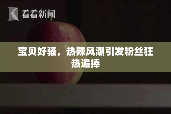 宝贝好骚，热辣风潮引发粉丝狂热追捧