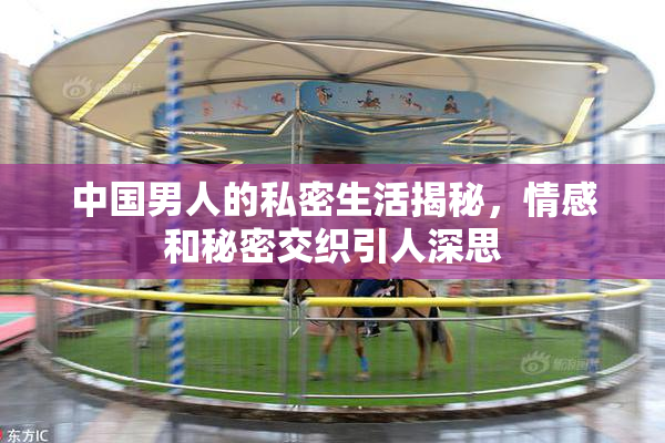 中国男人的私密生活揭秘，情感和秘密交织引人深思