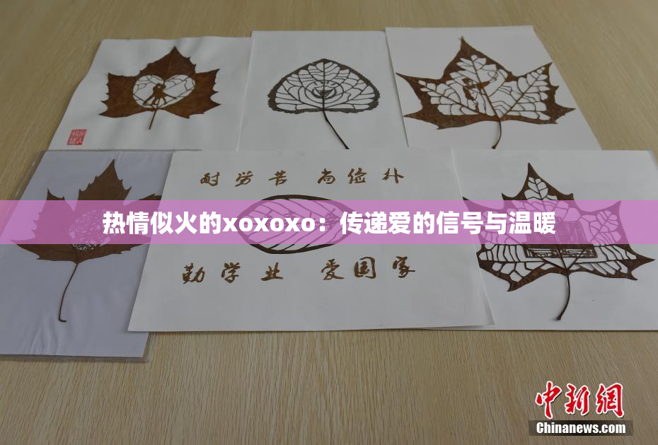 热情似火的xoxoxo：传递爱的信号与温暖