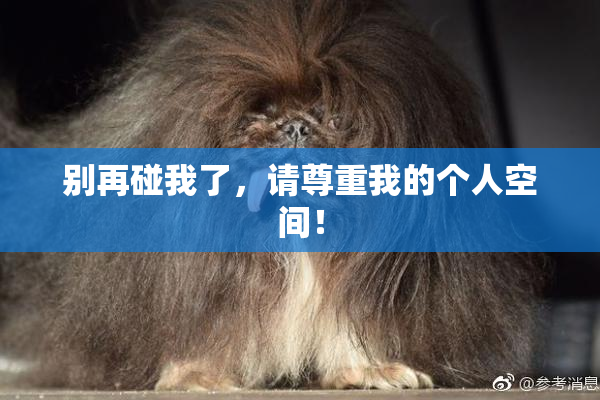 别再碰我了，请尊重我的个人空间！