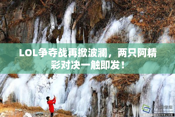 LOL争夺战再掀波澜，两只阿精彩对决一触即发！