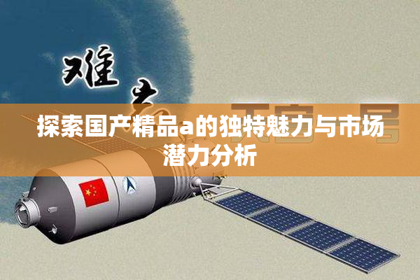 探索国产精品a的独特魅力与市场潜力分析