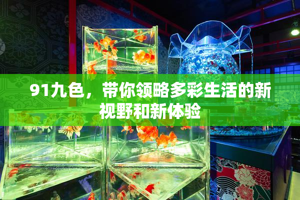91九色，带你领略多彩生活的新视野和新体验