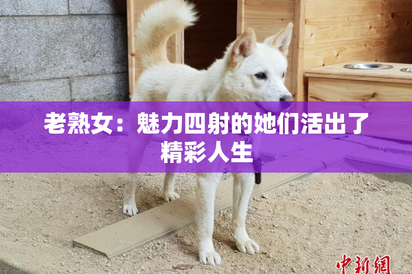 老熟女：魅力四射的她们活出了精彩人生