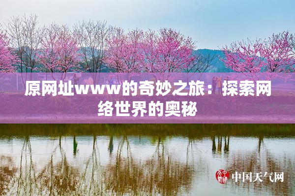 原网址www的奇妙之旅：探索网络世界的奥秘