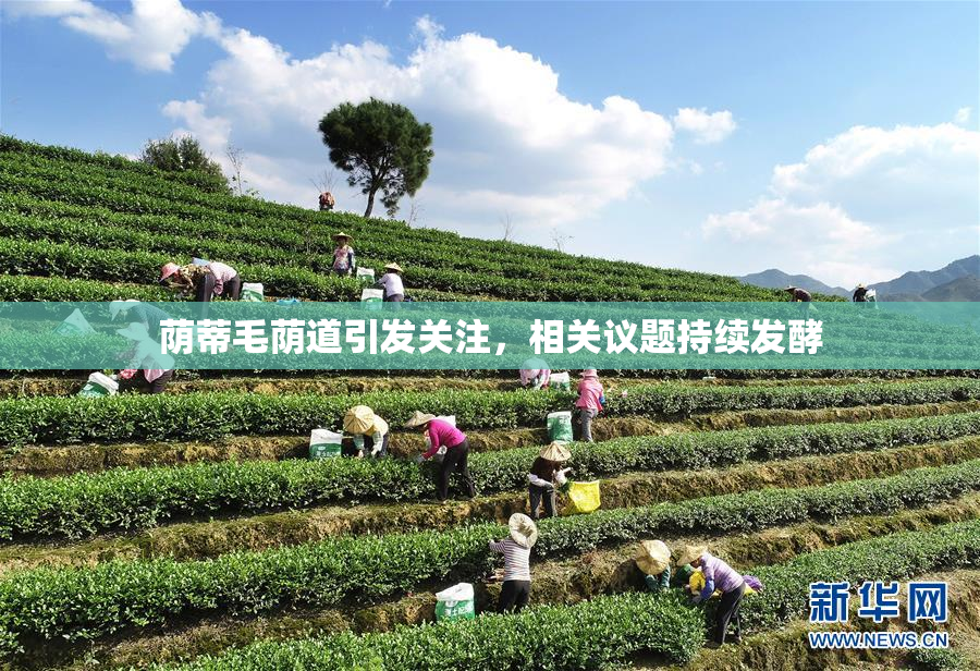 荫蒂毛荫道引发关注，相关议题持续发酵
