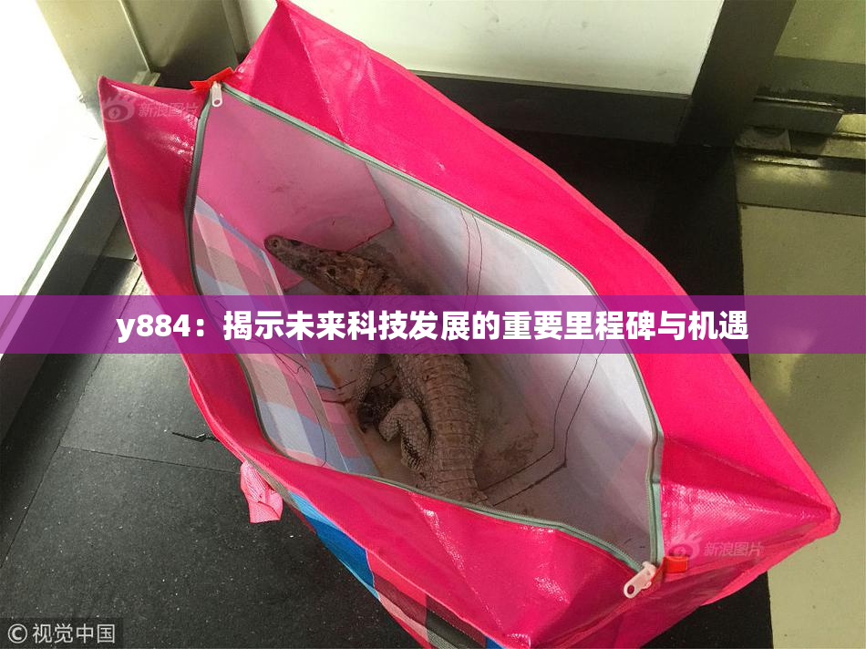 y884：揭示未来科技发展的重要里程碑与机遇