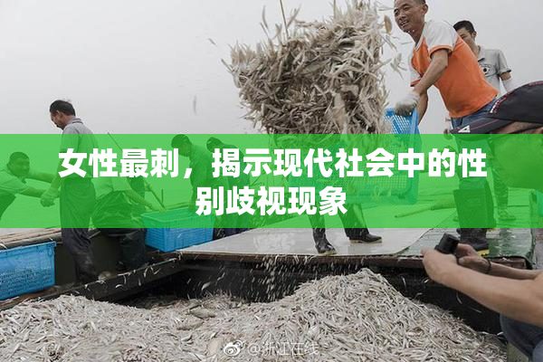 女性最刺，揭示现代社会中的性别歧视现象