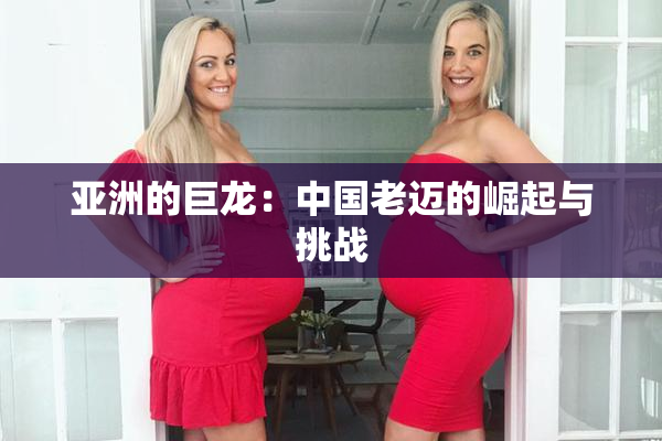 亚洲的巨龙：中国老迈的崛起与挑战