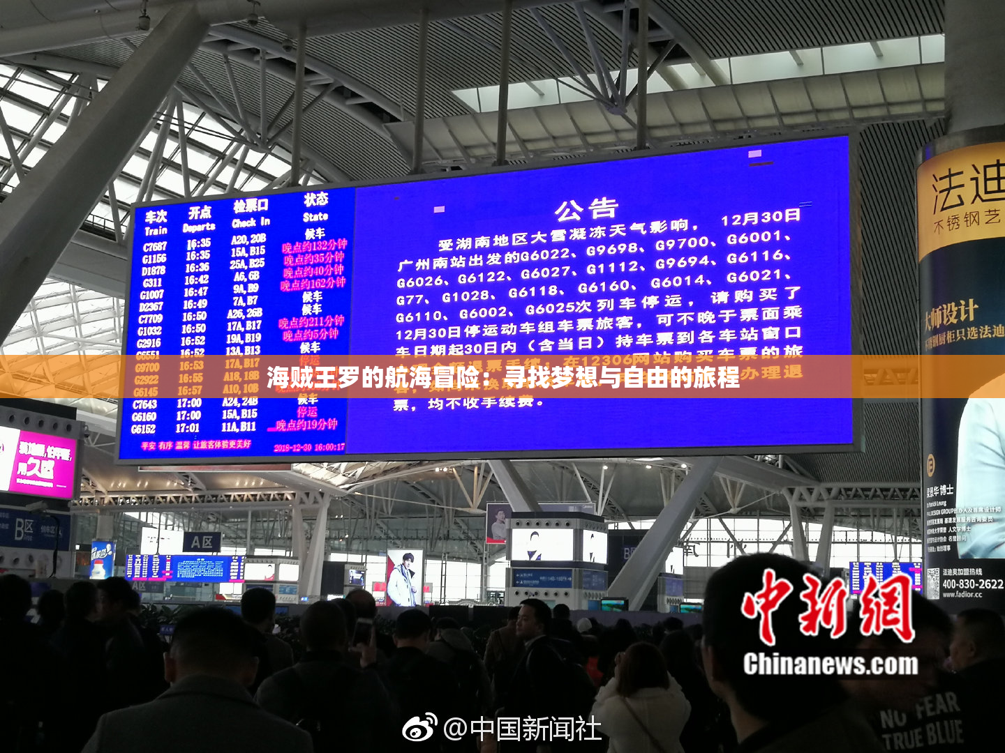 海贼王罗的航海冒险：寻找梦想与自由的旅程