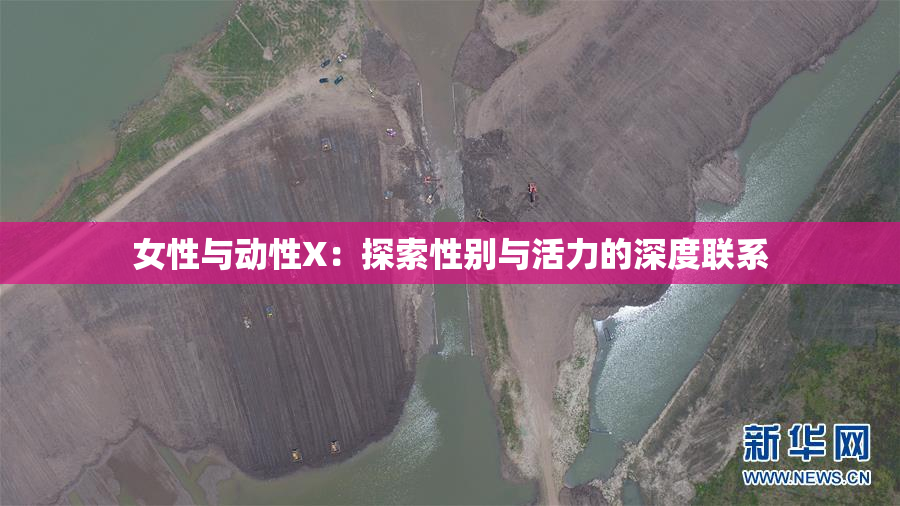 女性与动性X：探索性别与活力的深度联系