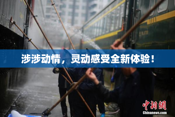 涉涉动情，灵动感受全新体验！