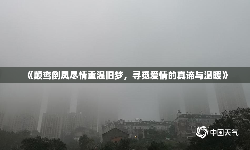 《颠鸾倒凤尽情重温旧梦，寻觅爱情的真谛与温暖》