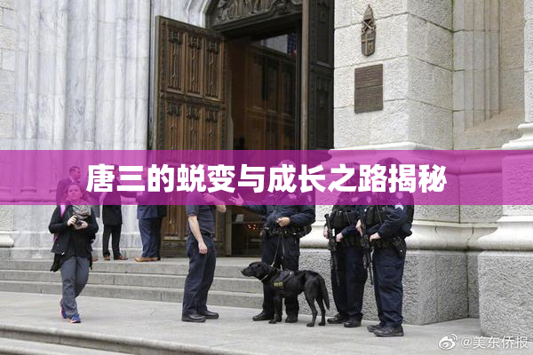 唐三的蜕变与成长之路揭秘