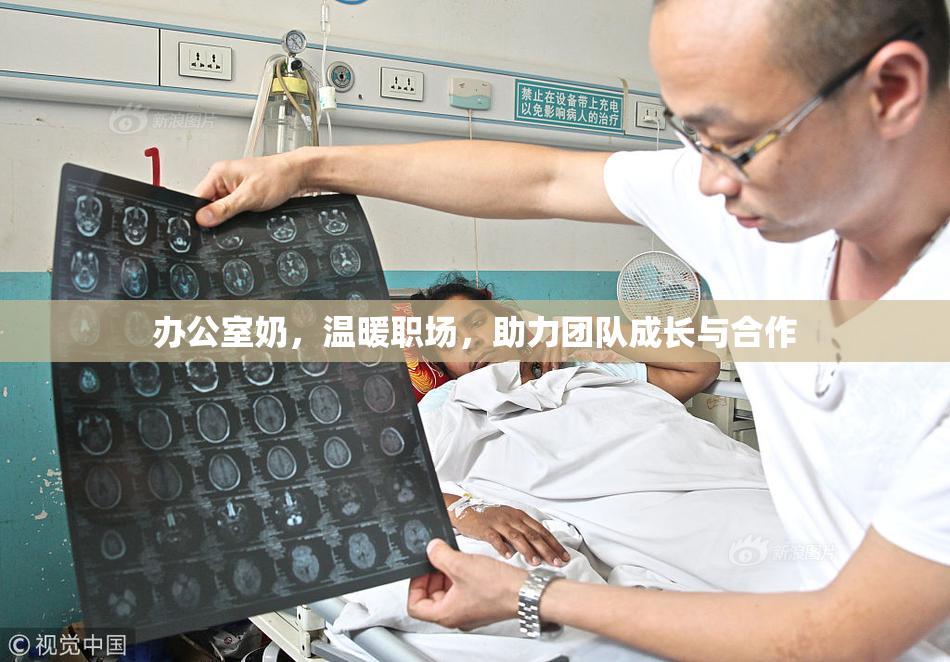 办公室奶，温暖职场，助力团队成长与合作